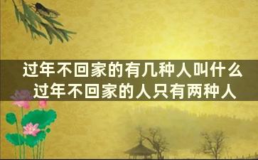 过年不回家的有几种人叫什么 过年不回家的人只有两种人